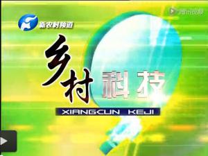 新農(nóng)村對電商【河南益農(nóng)】專題報道